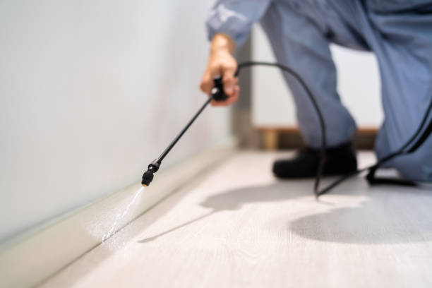 Licensed Pest Control service in Thorp, WI - Show Me Pest Control