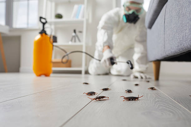 Commercial Rodent Management in Thorp